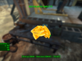 Fallout4 2015-11-20 23-35-20-65.png